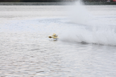 Enlarge photo 511