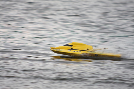 Enlarge photo 517