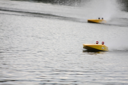 Enlarge photo 529