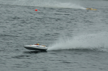 Enlarge photo 176