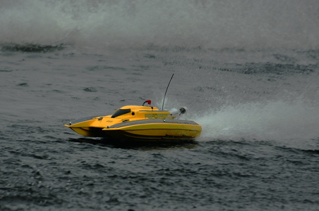 Enlarge photo 231
