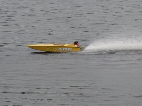 Enlarge photo 359