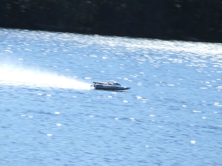Enlarge photo 96