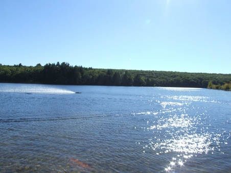 Enlarge photo 174