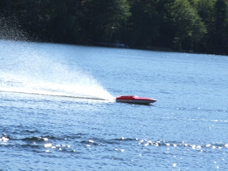 Enlarge photo 182