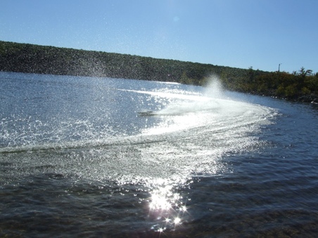 Enlarge photo 202