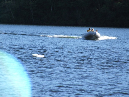 Enlarge photo 210