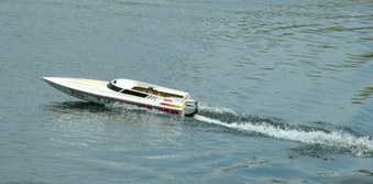 Enlarge photo 71