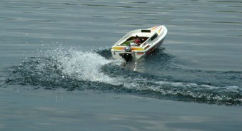 Enlarge photo 77