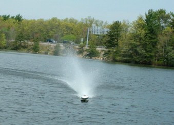 Enlarge photo 84