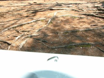 Enlarge photo 64