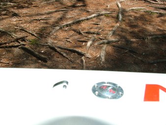 Enlarge photo 65