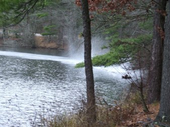Enlarge photo 11