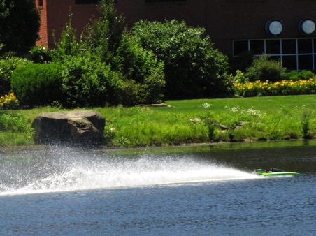 Enlarge photo 99