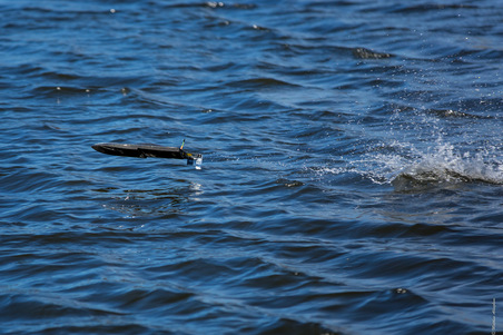 Enlarge photo 108