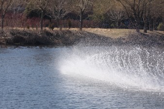 Enlarge photo 49