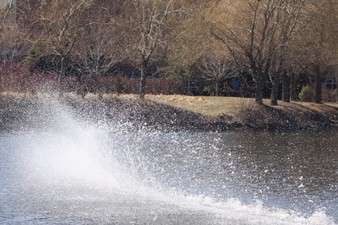 Enlarge photo 51