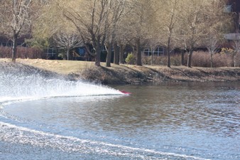 Enlarge photo 55
