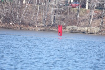 Enlarge photo 65