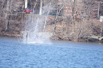 Enlarge photo 69