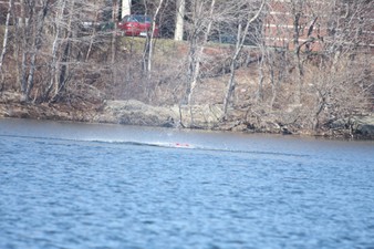 Enlarge photo 72