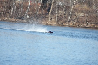 Enlarge photo 437