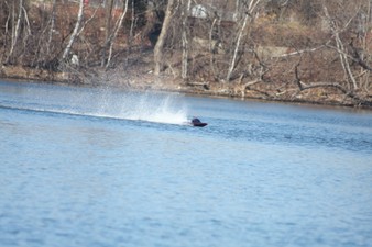 Enlarge photo 441