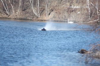 Enlarge photo 526