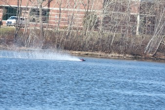 Enlarge photo 1160