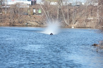 Enlarge photo 551