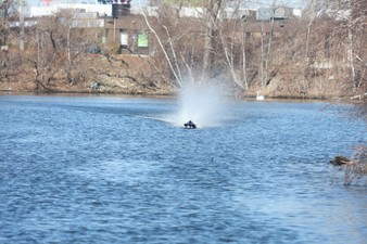 Enlarge photo 553