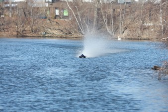 Enlarge photo 558
