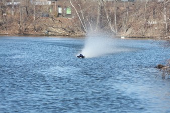 Enlarge photo 560