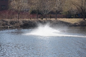 Enlarge photo 596