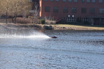 Enlarge photo 602