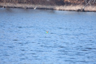 Enlarge photo 752