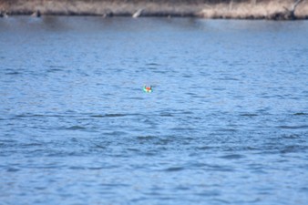 Enlarge photo 757