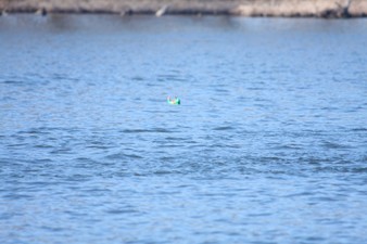 Enlarge photo 759