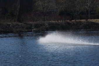 Enlarge photo 848