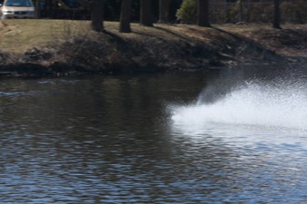 Enlarge photo 863