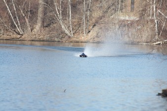 Enlarge photo 877