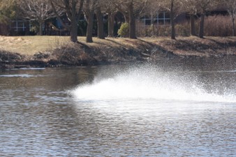 Enlarge photo 901