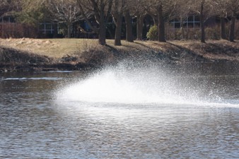 Enlarge photo 902