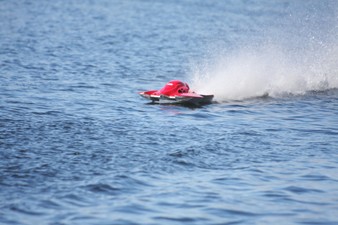 Enlarge photo 172