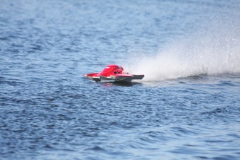Enlarge photo 176