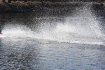 Enlarge photo 228