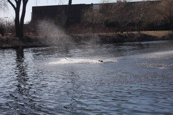 Enlarge photo 399