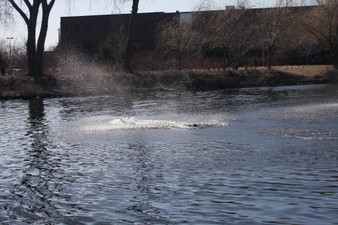 Enlarge photo 403