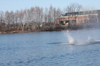 Enlarge photo 452