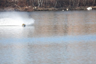 Enlarge photo 481